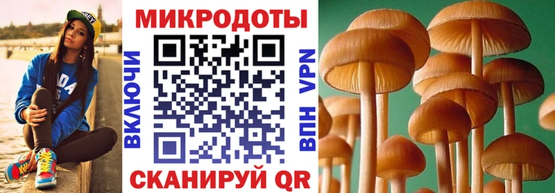 где купить наркоту  Южно-Сахалинск  Псилоцибиновые грибы Psilocybe 