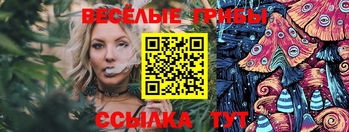 Галлюциногенные грибы Psilocybine cubensis  Вход с VPN  Южно-Сахалинск 